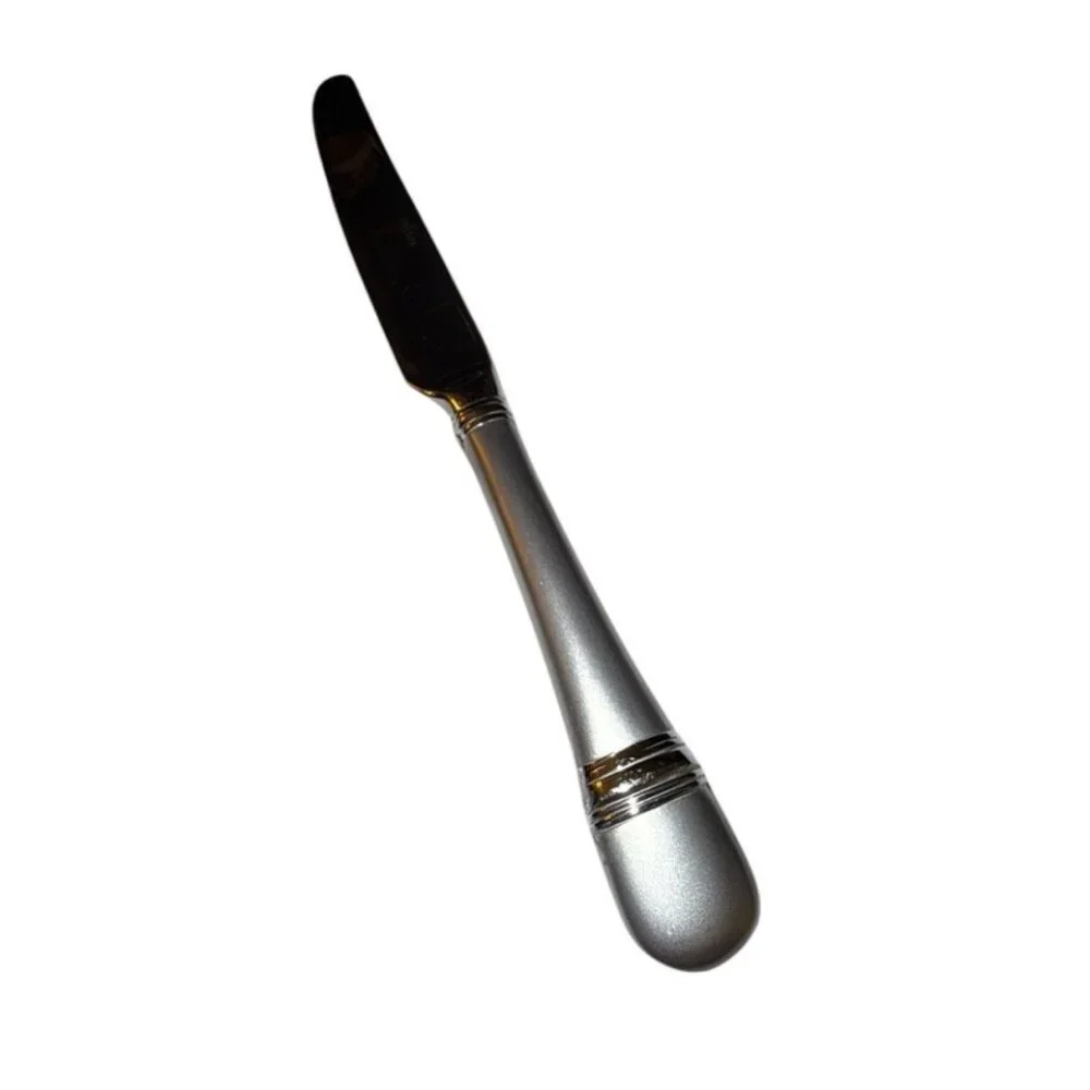 Oneida Astragal 18/10 Frost Glossy Stainless French Hollow Dinner Knife 9-1/2